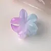 Presilha de Cabelo Flor Jelly Gradiente Fofa Estilo Oceano Estrela Colorida Gradiente Pc Geométrico Pequena Presilha de Cabelo Acessório de Cabelo Versátil