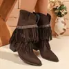 Botas de camurça com tachas, bico fino, salto médio, franjas, tamanho plus size para mulheres, nova coleção outono 2026, botas de salto grosso retrô até a panturrilha, disponíveis na Wish