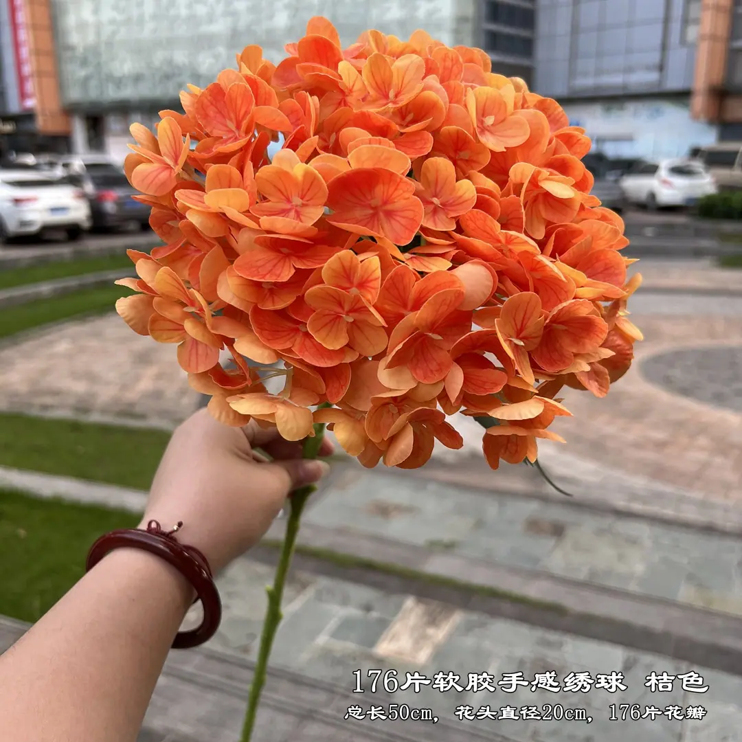 微信图片_20220727125754_副本.jpg