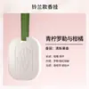 Byme Armário Aromaterapia Pastilhas de Cera Lírio do Vale Gesso Pastilhas de Aromaterapia Carro Aromaterapia Óleo Essencial Desodorizante Pingente para Pendurar Aromaterapia Sólida