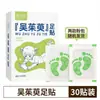 Juwantang Old Beijing Adesivo para Pés Artemísia Adesivo para Pés Cornus e Canela Gengibre Adesivo para Pés Yuanqi Poria Oito Tesouros Adesivo para Pés