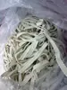 Cordones Planos Dentados de Espiga de Trigo de 8 mm Adecuados para Zapatos Deportivos, Tenis Blancos, Zapatos de Baloncesto, Cordones de Colores