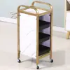 Carrito de Herramientas de Peluquería Carrito de Herramientas para Salón Carrito de Belleza Carro de Mano Carrito de Cinco Niveles para Barbería