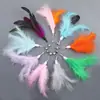 Brinquedo para Gatos Vara de Provocar de Grau Competitivo com Haste Longa, Gadget de Autoentretenimento para Alívio do Tédio, Fio de Aço Durável, Pena com Sino, Suprimentos para Filhotes