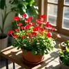 Planta de Centella Asiática en Flor para Atraer Riqueza, Planta Hidropónica para Escritorio de Oficina, Flor de Planta del Dinero para Cultivo en Agua Interior