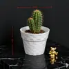Mini Macetas, Exquisitas Macetas para Suculentas, Pequeñas Macetas para Plantas de Interior, Macetas Pequeñas de Plástico Modernas No Porosas