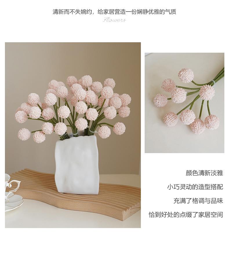 西西里9头扎束球菊_04.jpg