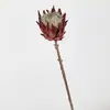Venda Direta da Fábrica de Galhos Grandes Simulados de Flores Imperiais para Decoração de Casa, Flores Artificiais para Decoração Suave, Arranjos Florais, Decoração de Casa Nórdica