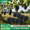 Rede anti-pássaros de multifilamento de nylon preto, rede bloqueadora de pássaros para aves, árvores frutíferas e vegetais, rede protetora preta, rede protetora espessada e reforçada