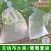 Saco Especial para Ensacar Uvas Cobertura à Prova de Pássaros e Insetos Teto Artefato Quintal Uva Saco Transparente Respirável Rede de Nylon