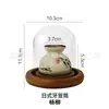 Porta-Palitos Estilo Japonês Jarro Doméstico Retro de Cerâmica Recipiente para Fio Dental Gelo Seco Ornamento Hidropônico Armazenamento Cilíndrico