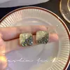 Brincos de agulha de prata 925 barraca mercado noturno fornecimento moda Coreia do Sul novo elegante celebridade da internet atacado joia de orelha quente