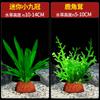 Plantas Acuáticas para Acuario, Paisajismo con Césped Real, Conjunto Ecológico Completo de Plantas Acuáticas, Piscicultura, Oxigenación, Hidroponía Negativa, Plantas Verdes Purificadoras