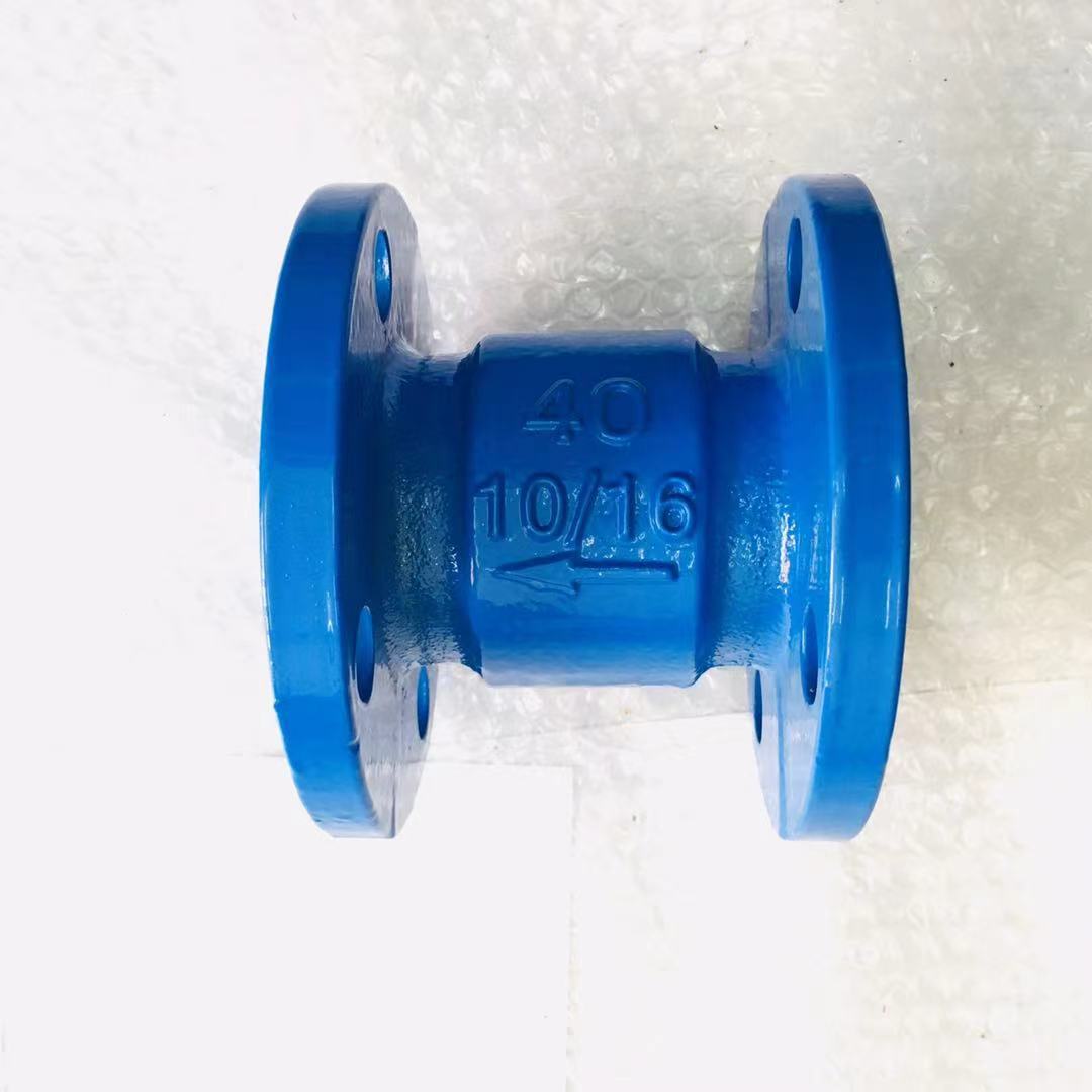 蓝色消声止回阀 (1)