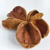 Adornos Decorativos Personalizados de Flor de Mazorca de Maíz y Manzana Seca, Artesanías Naturales de Cáscaras de Frutas Secas, Muestras para Marco de Fotos, Materiales para Manualidades