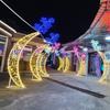 Patrón Luz con Forma de Arco, Proyecto de Iluminación para Entrada de Lugar Escénico, Iluminación Escénica Exterior, Luz Transversal con Forma de Túnel