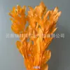 Arranjo de flores eternas folha laranja com ramos de folhagem, materiais florais DIY com toque de alta qualidade, atacado de fabricante de Yunnan, decoração de flores eternas