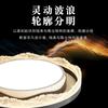Lámpara de Techo para Sala de Estar de Lujo Ligero Luz Principal 2025 Nuevo Dormitorio Moderno de Gama Alta Protección Ocular Paquete para Toda la Casa Zhongshan