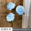 Mariposa Peonía Colorida, Peonía Koi, Fondo de Pared de Flores para Pasillo de Boda Flores de Seda, Accesorios para Fotografía de Hotel Flores Artificiales