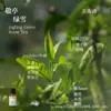 Líquido de Relleno de Aceite Esencial de Plantas de Aromaterapia de 15 ml para Difusor de Piedra de Yeso, Adornos Aromáticos, Especializado para Uso en Interiores, Fragancia de Alta Gama y Larga Duración