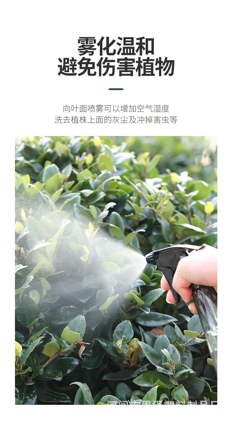 processed_image_1 (52).png