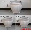 Simples Sala de Estar de Casa Estilo Chinês Escritório Pilar Verde Sanwei Kwai Bambu Havaiano Árvore da Fortuna Vaso de Flores de Cerâmica Grande