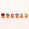 Plantas Suculentas Pequeñas en Maceta de Simulación Adornos para Paisajes Micro DIY Adornos Pequeños de Escritorio Muñecas de Joyería