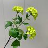 Simulación Hortensia de Madera de Tres Cabezas Bola de Nieve Flores de Simulación Decoración de Boda Hotel Floricultura Estudio de Cine de Película Suave Paisaje Floricultura Flores Falsas