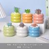 Vaso de flores de cerâmica desenho animado fofo macaroon planta carnuda vaso pequeno Amazon Home Gardening Cactus Pot terno
