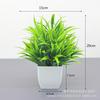 Artificial verde planta bonsai interior desktop paisagem decoração planta pequenos ornamentos eucalipto Lysiana decoração de casa flor