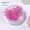 Arte de uñas flor seca al por mayor en caja explosiones rojas de Internet diy pétalos de color tridimensionales encaje flor decoraciones de uñas accesorios