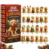 Calendario de Adviento Navideño de Animales Transfronterizo 2026 Calendario Navideño de Animales Caja Sorpresa S