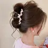 Nuevo Modelo 2026 Pinza para el Cabello para Mujer, Pasador de Gama Alta para Volumen Pequeño de Cabello en la Parte Posterior de la Cabeza, Pinza de Tiburón de Tamaño Mediano