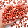 Ágata Vermelha do Sul Natural Partículas Redondas Pedrinhas Crianças Amoy Minério Escavação Arqueológica Ensinamento Partículas de Minério Cheio