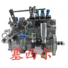Bomba de Injeção de Combustível de Alta Pressão Bhf4Pl080040 Direto da Fábrica é Adequada para Acessórios do Motor da Série Cape Kd488