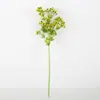 Directo de fábrica rama única hoja de coco amante fruta colorida spray color arreglo floral pequeña fruta amante fruta decorativa fruta simulación flor fruta