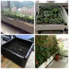 Maceta para Verduras de Hogar Balcón Rectangular Extra Grande Caja de Plantación para Exterior Caja para Verduras Maceta de Plástico para Flores para Hogar Jardinera
