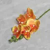 Flor Artificial de Orquídea Mariposa de Película de 5 Piezas Decoración Suave de Hogar de Alta Gama Accesorios Florales para Fotografía de Bodas Venta al por Mayor de Flores Artificiales Transfronteriza