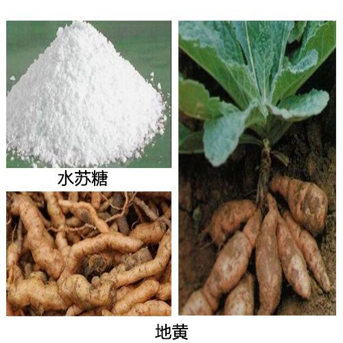 地黄水苏糖图集