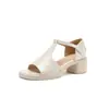 Nuevos zapatos de plataforma de suela gruesa, sandalias peep-toe, zapatos con tira en T, zapatos casuales de tacón medio grueso, tallas 33-43, zapatos de comercio exterior de Amazon