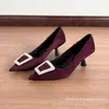 Comercio Exterior Transfronterizo Moda Europea y Americana Versátil Punta Fina Tacón de Aguja Tacón Alto Elegante para Viajes Nuevo Estilo Sandalias y Zapatos de Tacón Cómodos