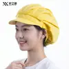 Gorras de Trabajo para Taller de Fábrica Nueva de Xuanzhi, Gorras de Malla Higiénicas a Prueba de Polvo para Cocina de Restaurante, Chef y Camarero, Comedor