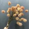 Fruta de castaña simulada fruta verde carnosa diseño floral con material de hoja de fruta sensación de primavera y verano flores para escaparate nórdico