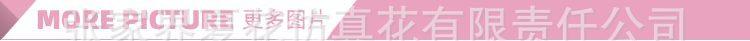 油画卷边玫瑰花头_20.jpg