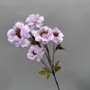 Buquê de Flores Artificiais de Gardênia de Seis Cabeças e Peônia, Pequeno Arranjo de Flores para Casamento, Flores Artificiais para Banquete de Noivado, Arranjo de Flores de Chão, Arranjo de Flores de Chão