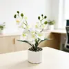Planta de Vaso de Orquídea Phalaenopsis Artificial Haste Dupla 10 Flores Bonsai Cena de Fotografia Doméstica Arranjo Sensação de Alto Padrão Planta Artificial Verde