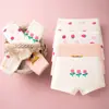 Ropa interior para niños categoría algodón a algodón niñas no aprietan el trasero niñas calzoncillos tipo boxer 6-12 años shorts tipo boxer venta al por mayor