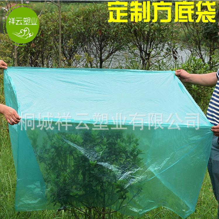 未标题-1