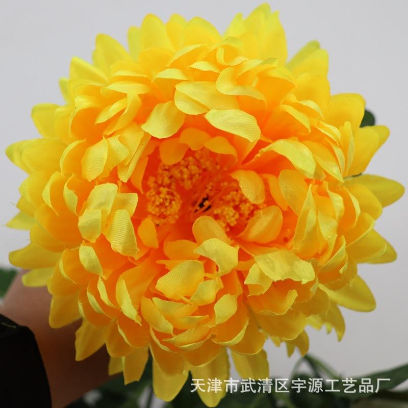 IMG_9450_副本.jpg