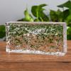 Ladrillo de cristal super blanco ladrillo de cristal pared divisoria sólido transparente mampara de baño color rojo neto cuadrado ladrillo de fusión en caliente